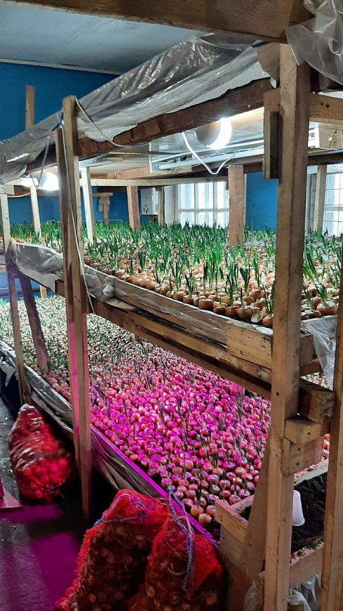 Производственные, складские помещения, 200 м² фото