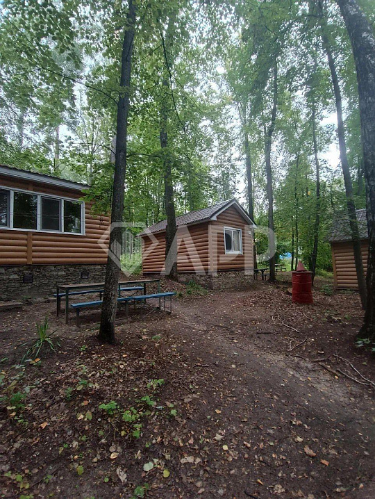 Продам базу отдыха в лесу  фото