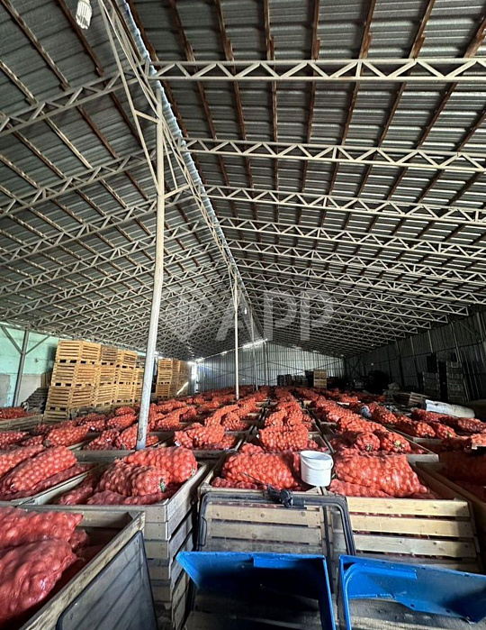 Продам тепличный комплекс, 7 100 м², земля 1.5 ГА фото