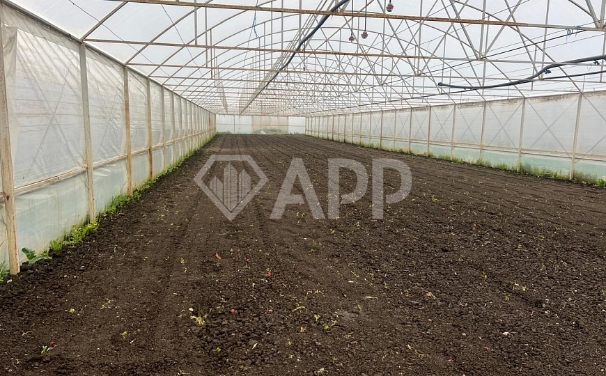 Продам тепличный комплекс, 7 100 м², земля 1.5 ГА фото