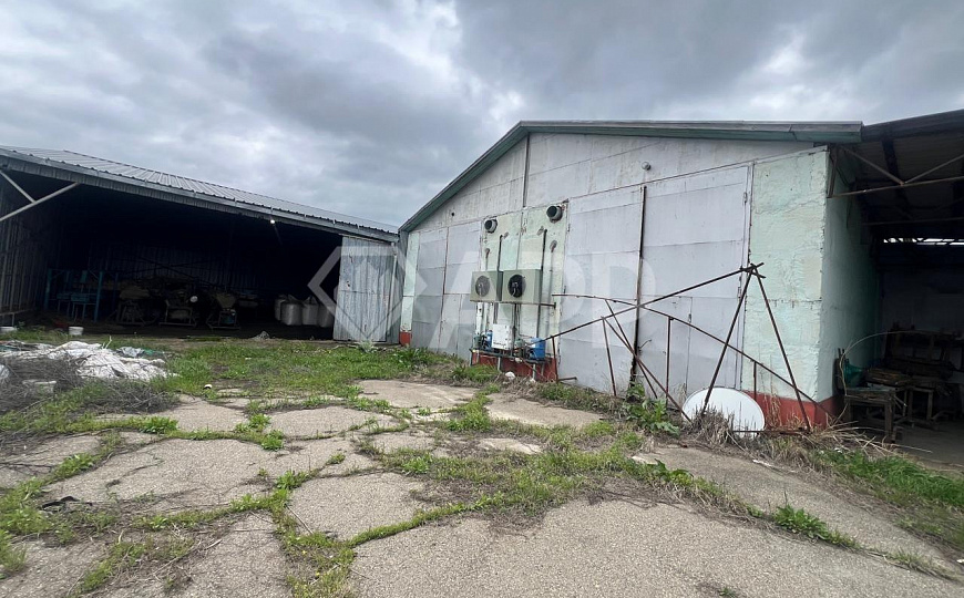 Продам тепличный комплекс, 7 100 м², земля 1.5 ГА фото