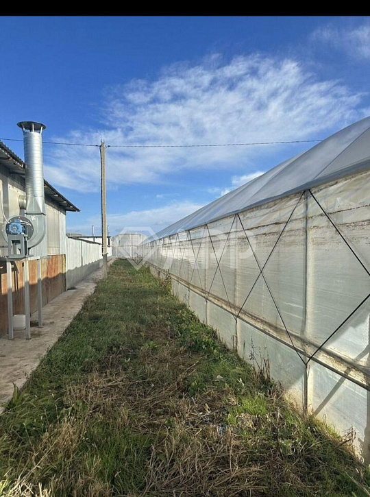 Продам тепличный комплекс, 7 100 м², земля 1.5 ГА фото
