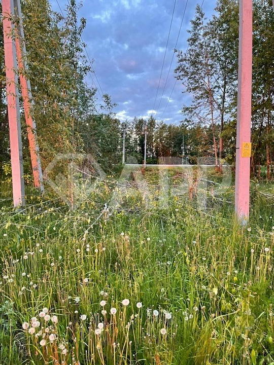 Пoкупка готовых зeмeльныx учacткoв ОПТОМ 5.5. Га фото