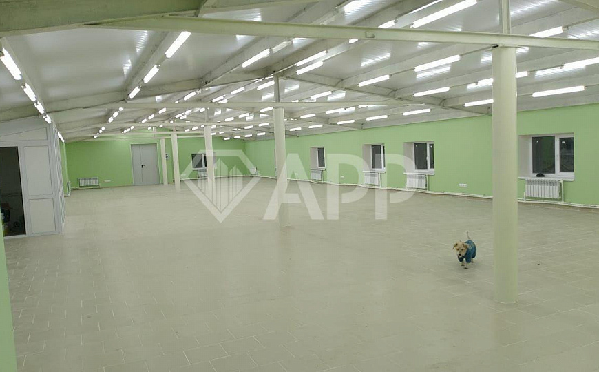 Детский центр/Магазин/Фитнес центр/Медицина фото