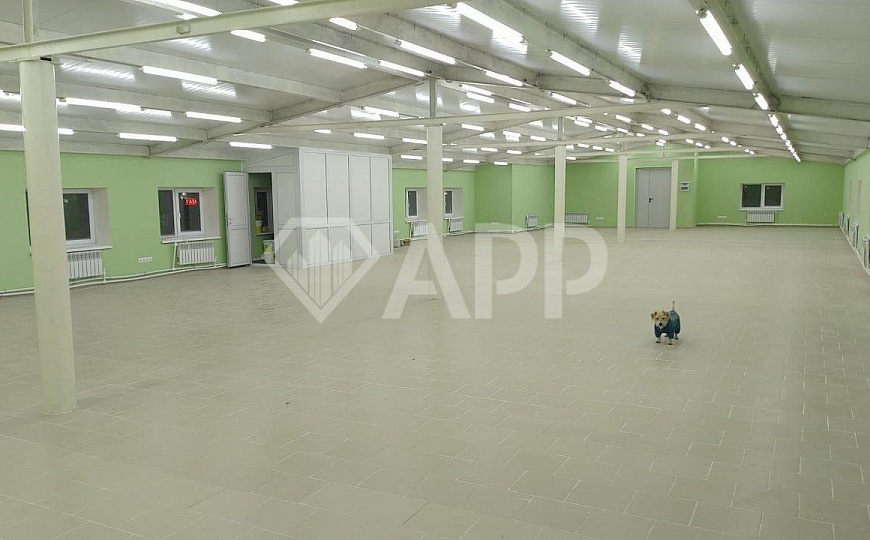 Детский центр/Магазин/Фитнес центр/Медицина фото