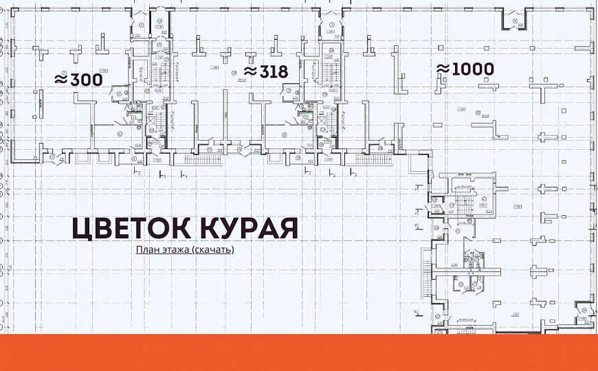 Помещение на Ленинградской фото