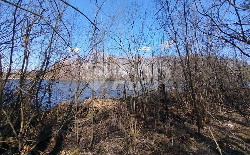 Сдам земельный участок, 8 000 м² фото
