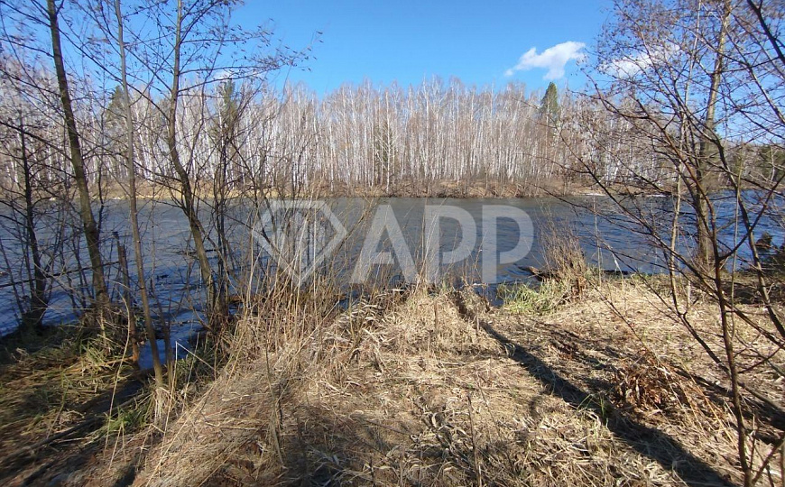 Сдам земельный участок, 8 000 м² фото