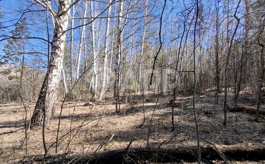 Сдам земельный участок, 8 000 м² фото