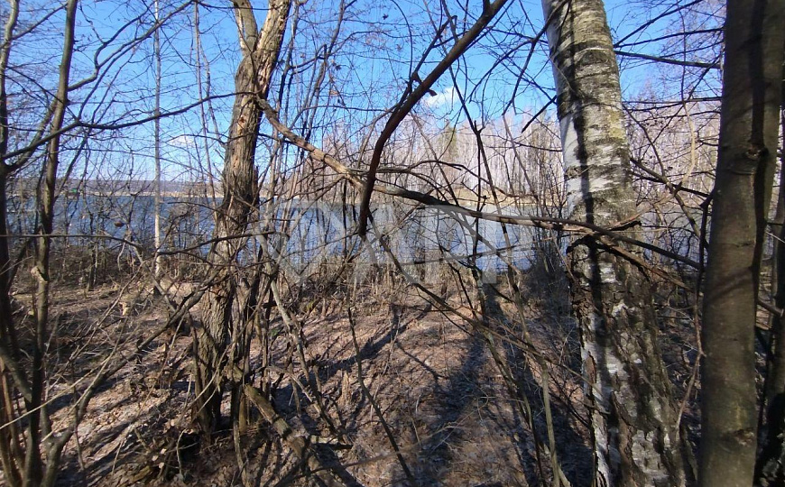 Сдам земельный участок, 8 000 м² фото