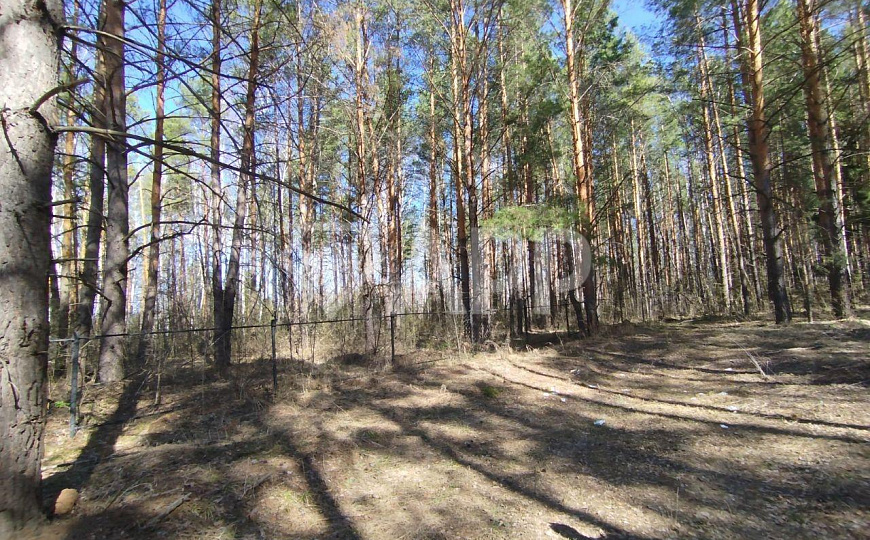 Сдам земельный участок, 8 000 м² фото