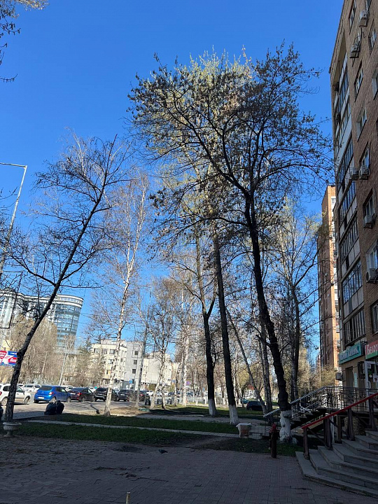 Аренда торговой площади 77 м2 на первой линии фото