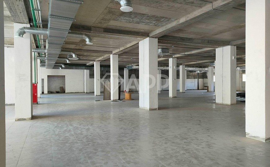Сдам помещение свободного назначения, 500 м² фото