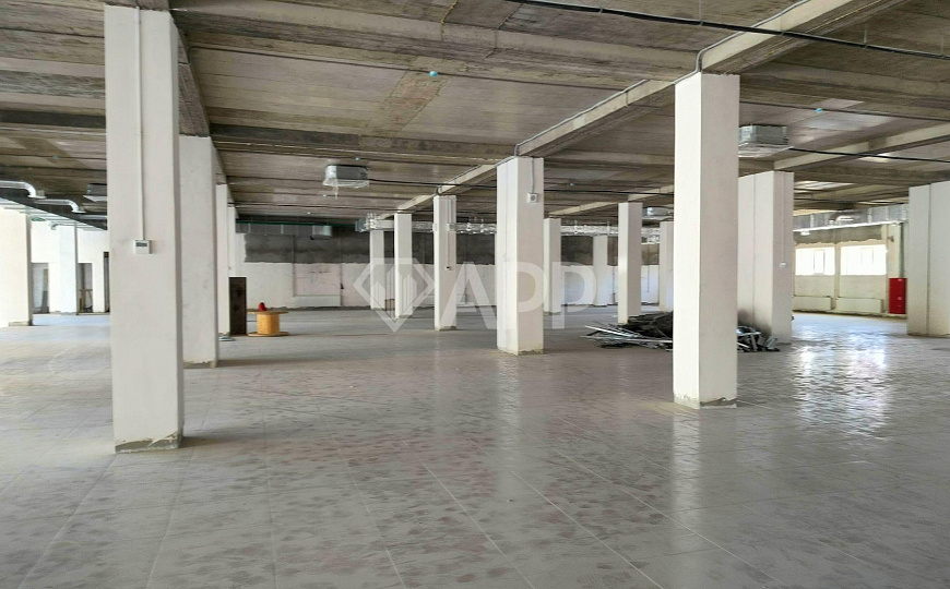 Сдам помещение свободного назначения, 500 м² фото