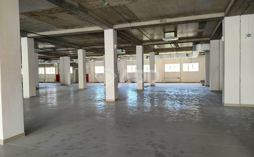 Сдам помещение свободного назначения, 500 м² фото