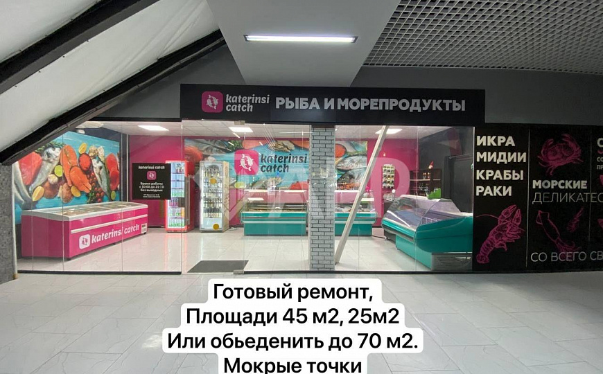Торговое/Ремонт/Мокрая точка/45/25/70 м2 фото