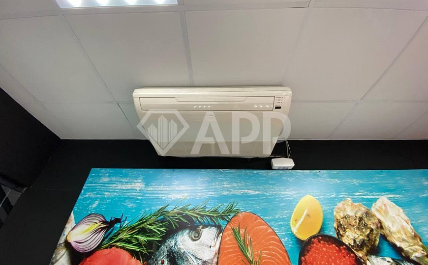 Торговое/Ремонт/Мокрая точка/45/25/70 м2 фото