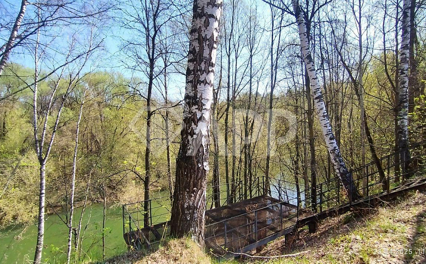 Загородный клуб дом отдыха "Дона Корлеоне" Ресторан , Банный комплекс фото