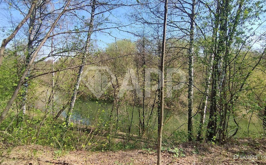 Загородный клуб дом отдыха "Дона Корлеоне" Ресторан , Банный комплекс фото