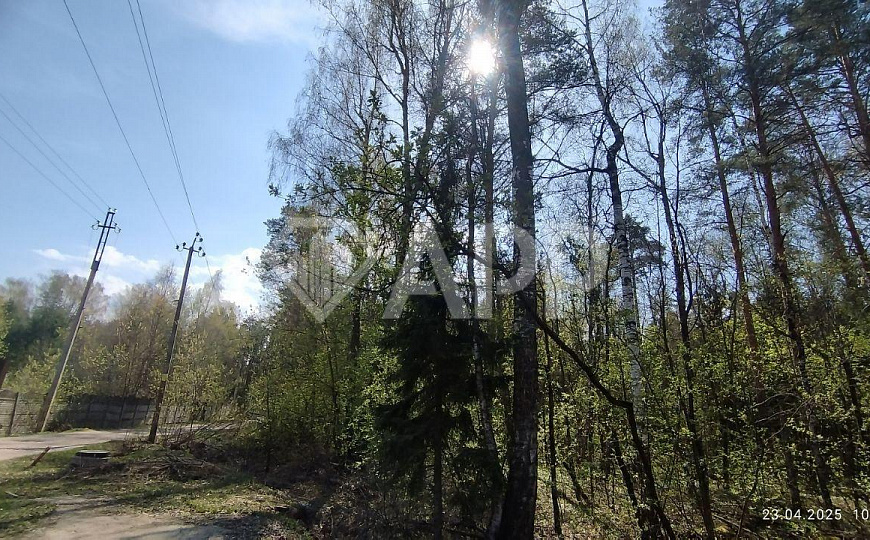 Загородный клуб дом отдыха "Дона Корлеоне" Ресторан , Банный комплекс фото