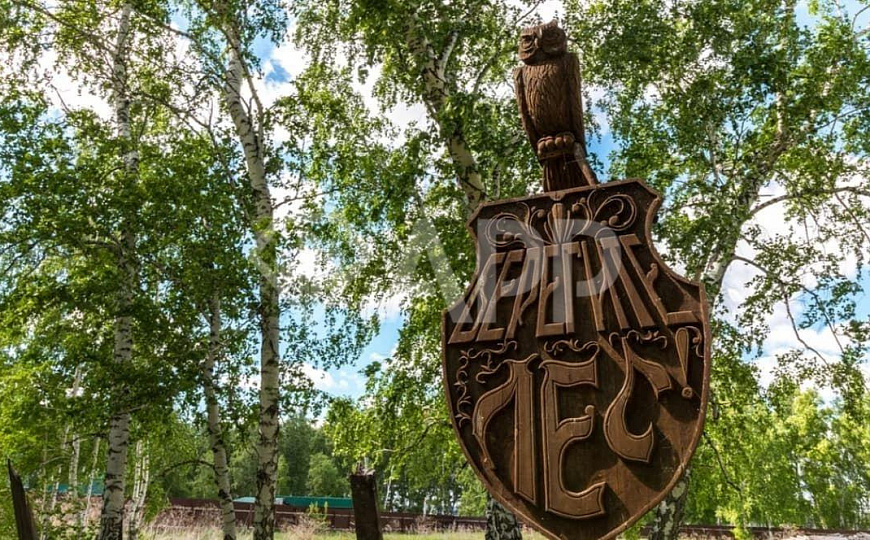 База отдыха, дом 450 м² + земля 2.5 га фото