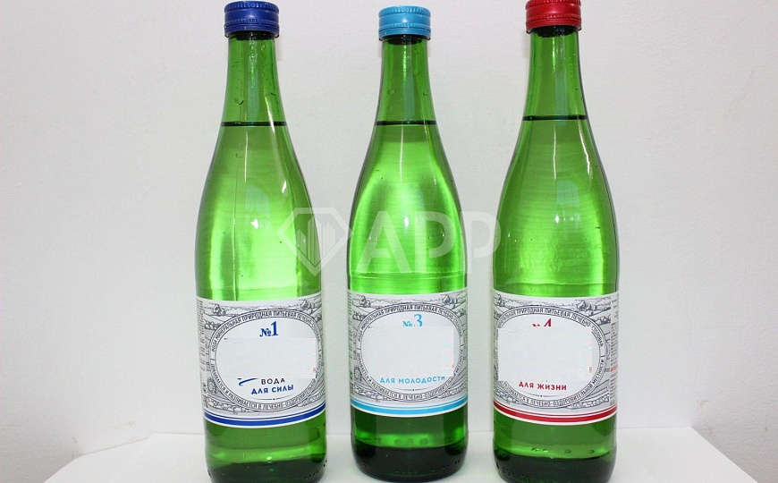 ПРОДАЮ ЛЕЧЕБНО-ОЗДОРОВИТЕЛЬНОЕ МЕСТОРОЖДЕНИЕ  В ПОВОЛЖЬЕ  ПОД РАЗВИТИЕ КУРОРТА, САНАТОРИЯ  фото