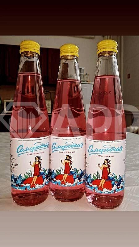 ПРОДАЮ ЛЕЧЕБНО-ОЗДОРОВИТЕЛЬНОЕ МЕСТОРОЖДЕНИЕ  В ПОВОЛЖЬЕ  ПОД РАЗВИТИЕ КУРОРТА, САНАТОРИЯ  фото