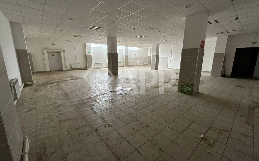 Помещение свободного назначения на первой линии трассы фото