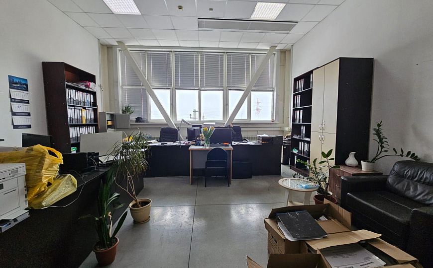 Сдам помещение свободного назначения, 30 м² фото