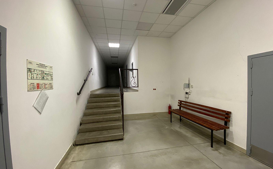 Сдам помещение свободного назначения, 30 м² фото