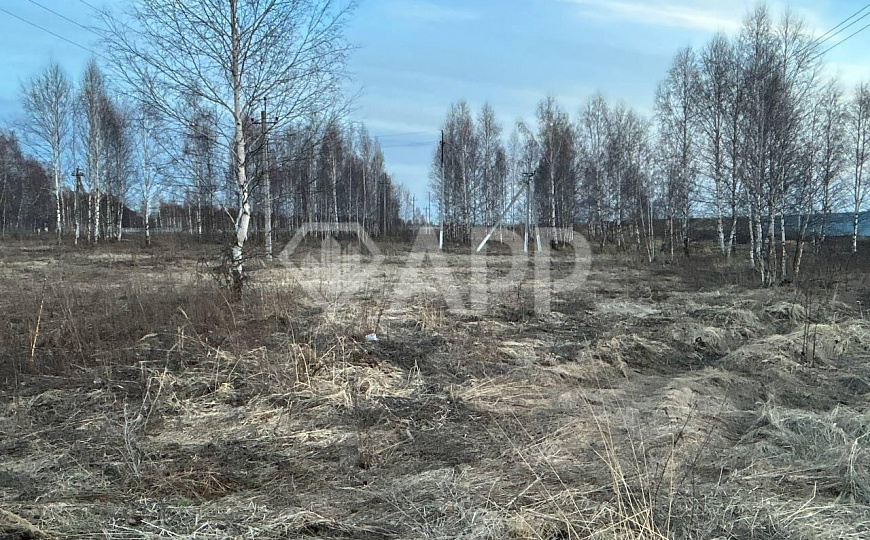 Участок под склад на трассе М7 фото