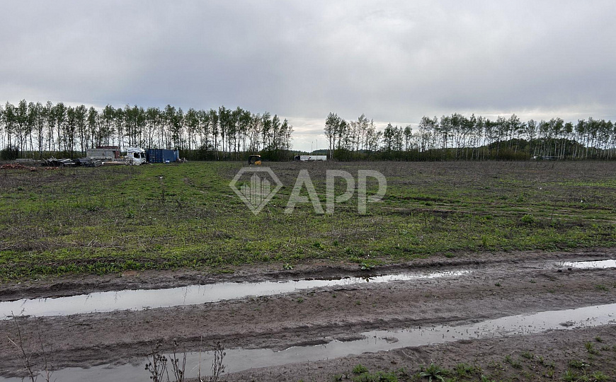 Продам два участка по 50 соток промназначения фото