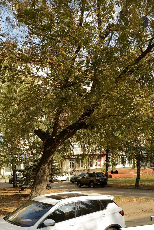 Помещение на первой линии с отдельным входом, 165 м² фото