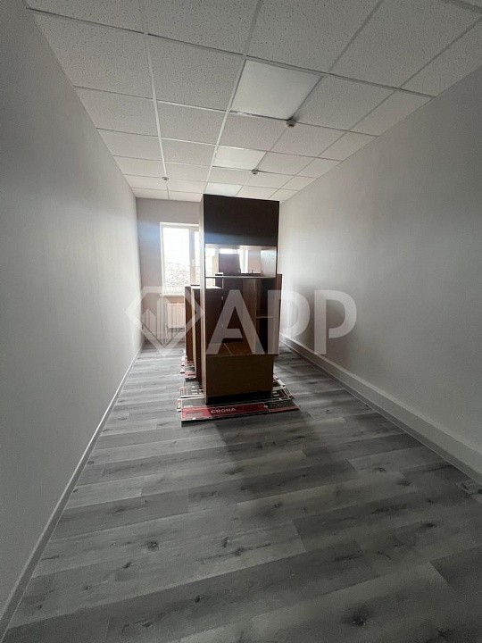 Сдам офисное помещение,  38.5 м², 26.1 м², 11.5 м² фото