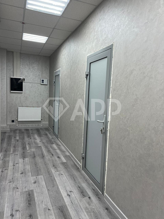 Сдам офисное помещение,  38.5 м², 26.1 м², 11.5 м² фото