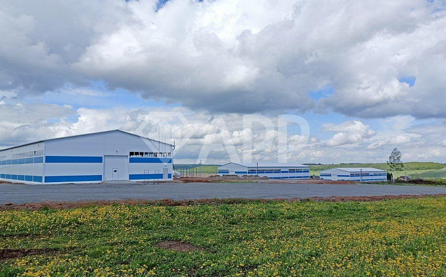 Сдам складское помещение, 1 056 м² фото