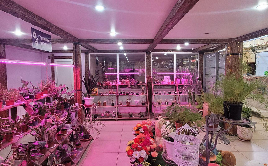 Торговая площадь 400 м2 ( Город Цветов) фото