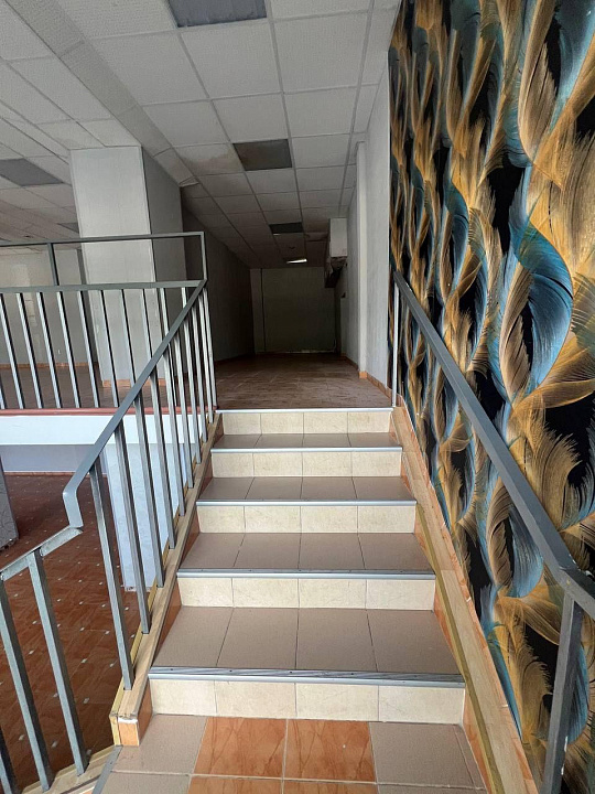 Помещение свободного назначения 285 м² с витражными окнами фото