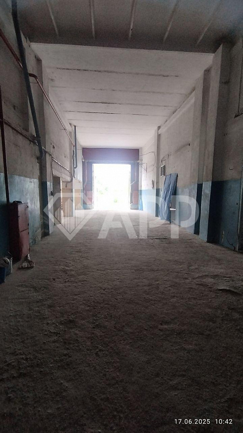 Помещение свободного назначения с офисами фото