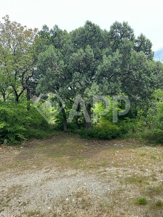 Продаю земельный участок, 60 ар (сотка) фото