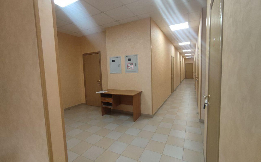 Сдам офисное помещение 300 м2 фото