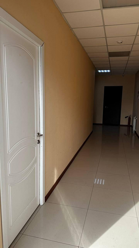 Аренда офис 30 м² (мокрая точка) фото