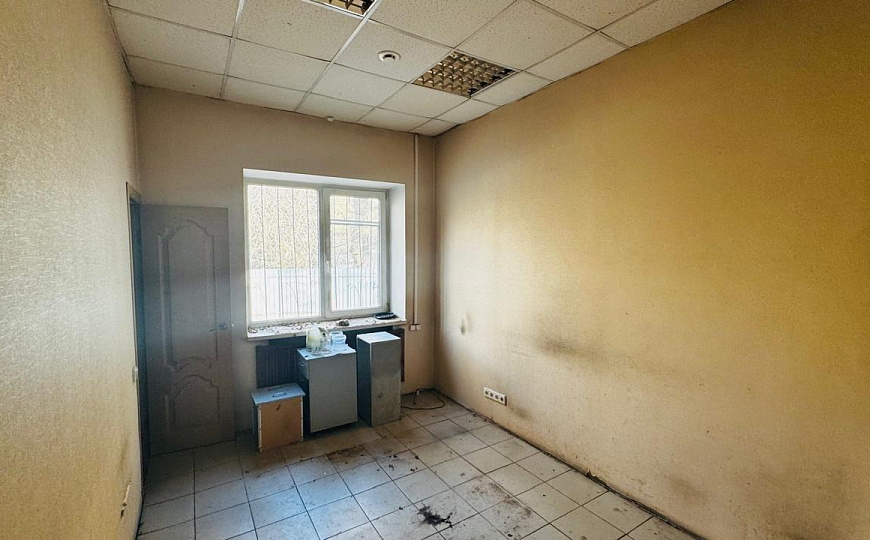 Помещение под магазин, услуги, кафе, клиника 278,7 м² фото