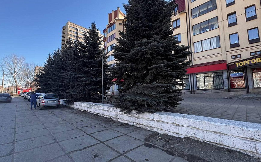 Помещение свободного назначения 560 кв.м. фото