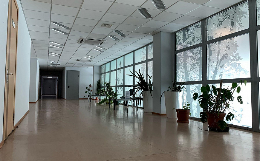 Сдам офисное помещение, 60 м² фото