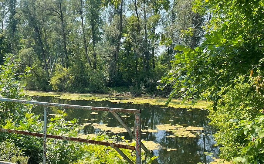 База отдыха "Сосновка" – Инвестиции в перспективный бизнес на природе!  фото