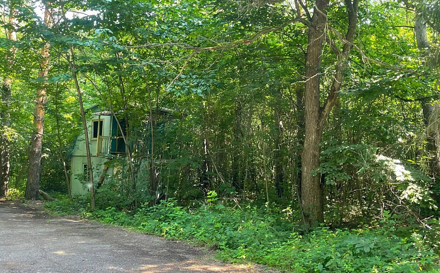 База отдыха "Сосновка" – Инвестиции в перспективный бизнес на природе!  фото