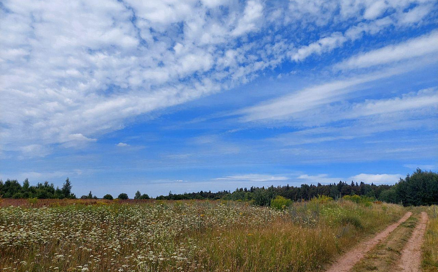 Продается Земельный участок ПРОМЫШЛЕННОГО назначения 5.5 га фото