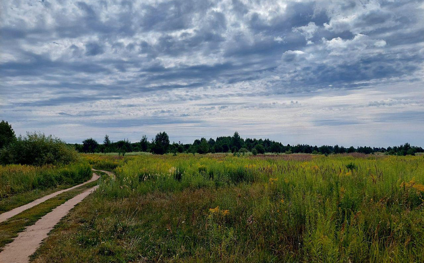 Продается Земельный участок ПРОМЫШЛЕННОГО назначения 5.5 га фото