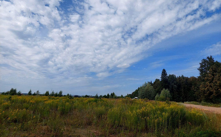 Продается Земельный участок ПРОМЫШЛЕННОГО назначения 5.5 га фото